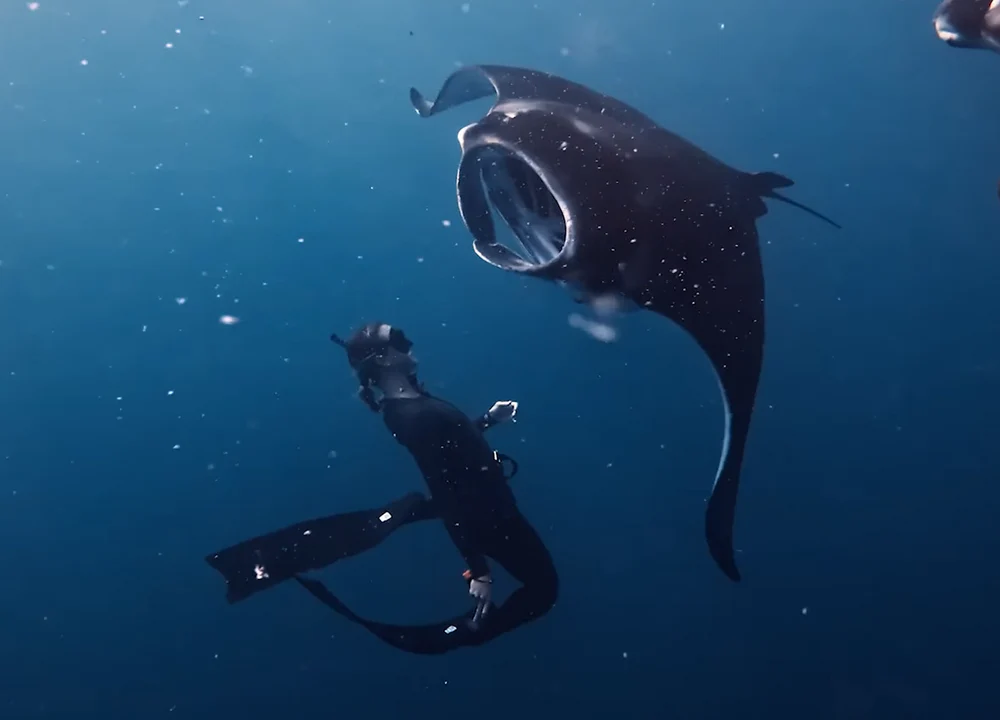 vivid 20260422020755 s0t2qa